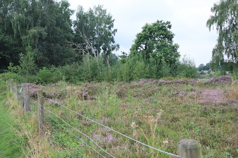 Brereton Heath Local Nature Reserve