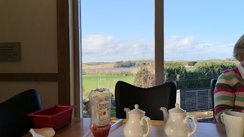 Cafe at Downpatrick Museum