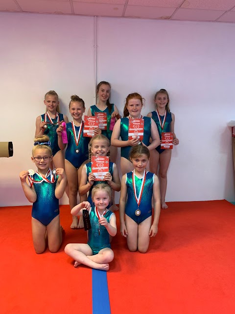 ACE Gymnastics Club