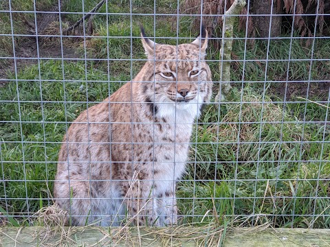 Hogshaw Farm & Wildlife Park