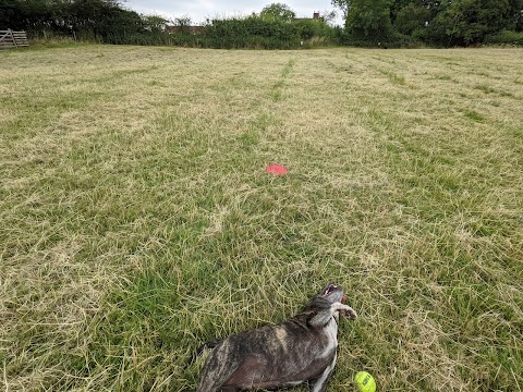 Horsepool Farm Dog Park