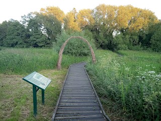 Kingsbury Meadow Local Nature Reserve