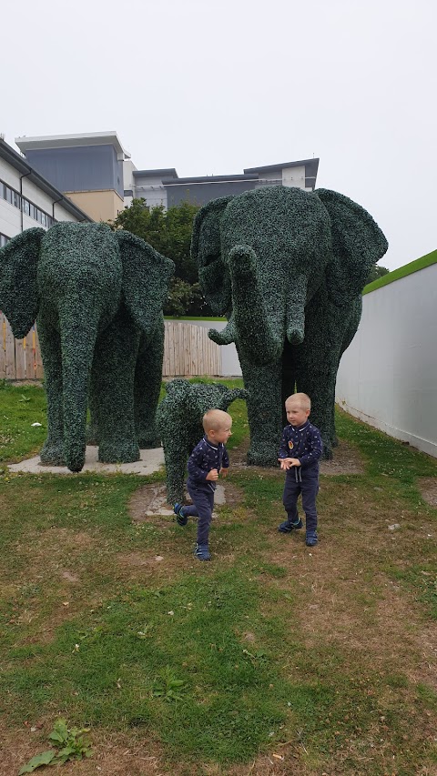 Royal Aberdeen Children's Hospital