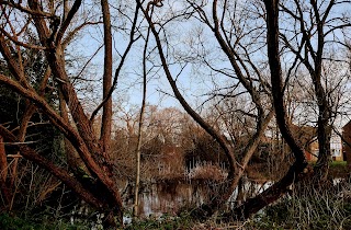 Park Road Pond Wildlife Trust Nature Reserve