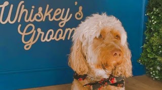 Whiskey's Spa and Grooming Highbury