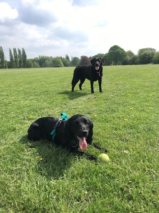 River Dog Walking