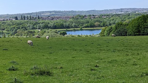 Rother Valley Country Park