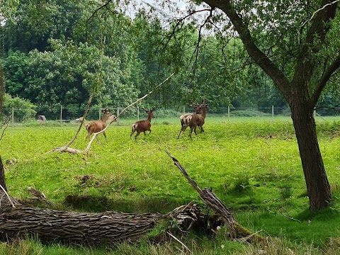 Normanby Hall Country Park