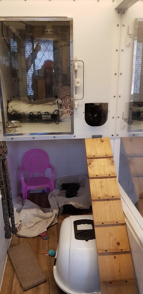 Woodlands Cat Hotel