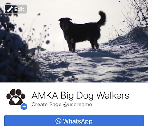 AMKA Big Dog Walkers