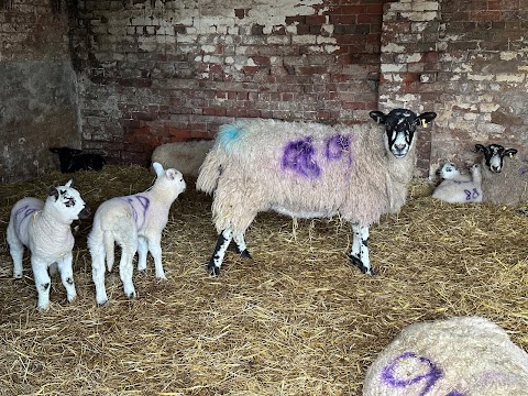 Baa Hill Farm Shop