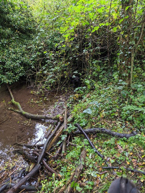 St. Helen's Well