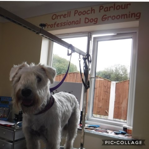 Orrell Pooch Parlour