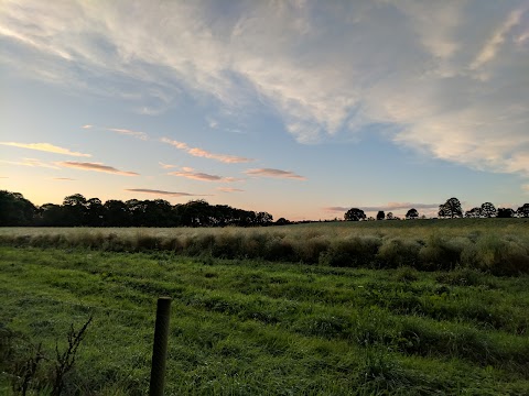 Hurcott Pool & Wood