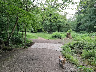 Hem Heath Woods