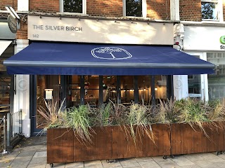 The Silver Birch