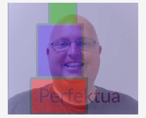 Perfektua Language Services