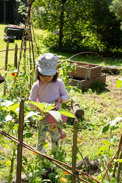 Treehoppers Forest Kindergarten