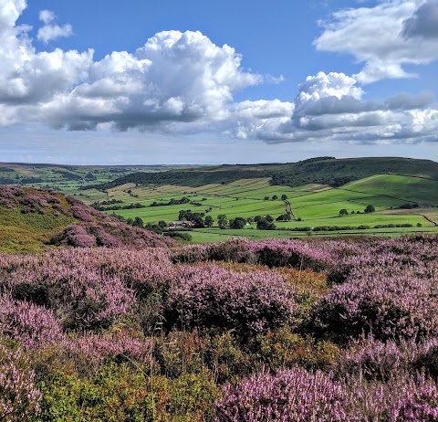 Grand Yorkshire - Day Trips and Tours