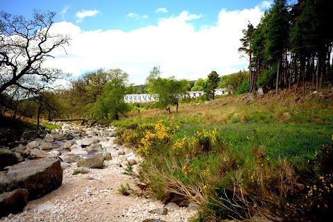 Kippure Estate