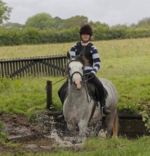 Endell Equine Hospital