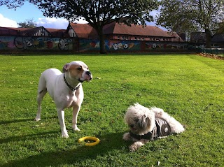 Dog Walking Manchester