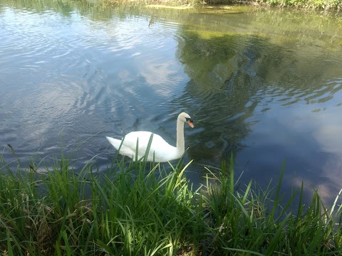 Compton Lock