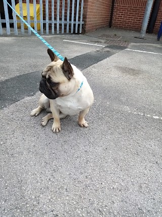 Nottingham PDSA Pet Wellbeing Centre, The Marian and Christina Ionescu Hospital