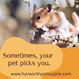 Harworth pet supplies