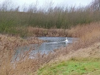 Rossi's Lake