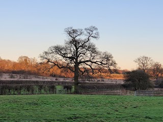 Mimram Kennels