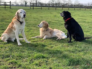 Hunters Lodge Country Boarding Kennels & Cattery