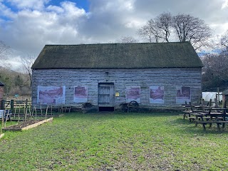 Woodland Classroom