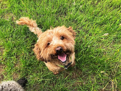 Happy Tails of East Lothian