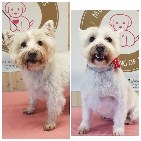 Mutterly Gorgeous - Dog grooming of Farnham