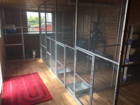 Ballymore Boarding Kennels & Cattery