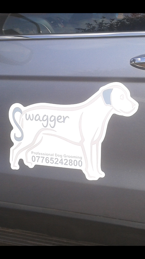 Swagger Professional Dog Grooming