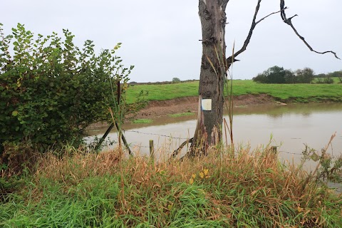 Sandbach Flash SSSi site