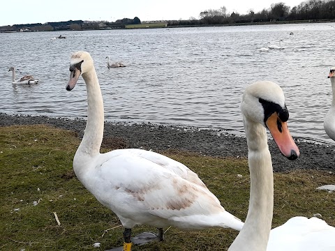 Broadmeadow Estuary