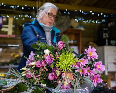 Lesley's Flowers