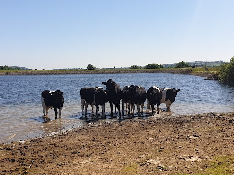 Bosley Reservoir