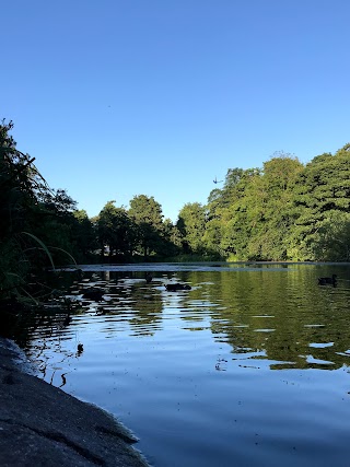 Blackford Pond