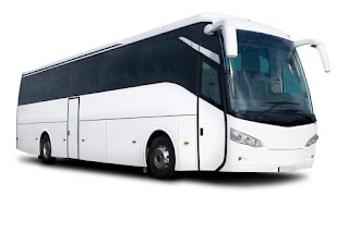 Scenic Coach Tours