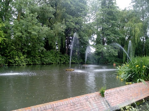 Trowbridge Park Pond