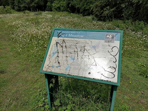 King's Meadow Nature Reserve