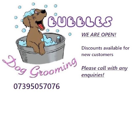 Bubbles Dog Grooming