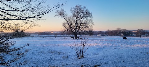 Quinton House School & Nursery