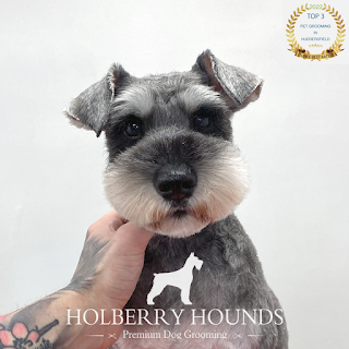 Holberry Hounds