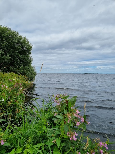 Oxford Island Nature Reserve