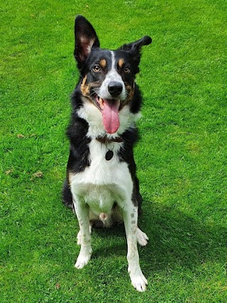 Fairway Boarding Kennels & Cattery